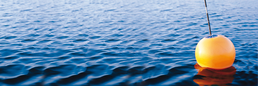 Buoy in the water